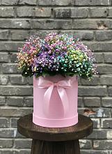 Цветочная композиция из Гипсофила и Розы в шляпной коробке в Борзе