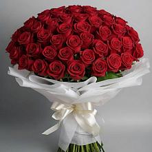 Букет 101 Красная роза Блэк Мэджик в Борзе
