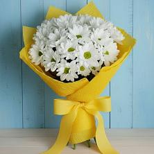 Букет цветов из:  Хризантемы в Борзе