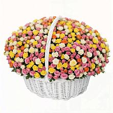 Премиум букет из: Розы в Борзе