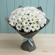 Букет цветов из:  Хризантемы в Борзе