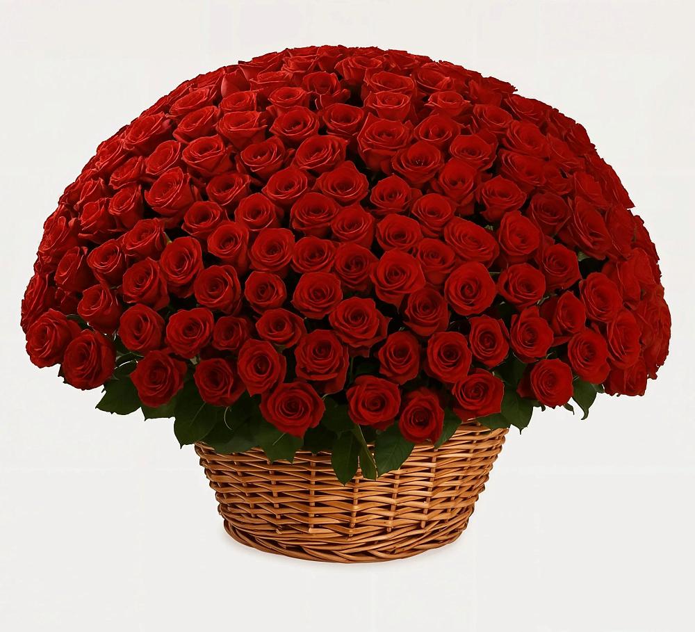 Премиум букет из: Розы в Борзе