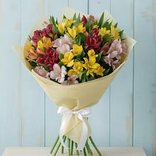 Букет цветов из:  Альстромерии в Борзе