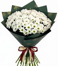 Букет цветов из:  Хризантемы в Борзе