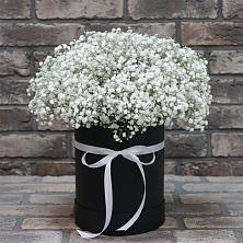 Цветочная композиция из Гипсофила в шляпной коробке в Борзе